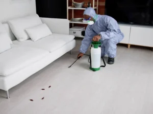 how much is pest control service per month