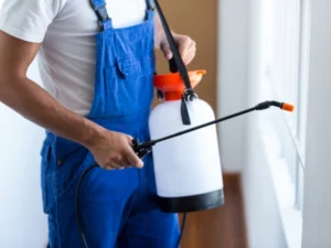 how often should pest control be done