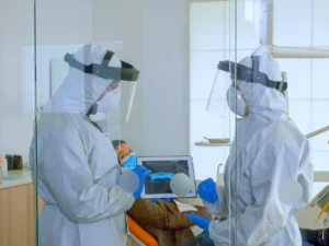 in wall pest control system