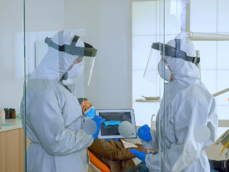 in wall pest control system