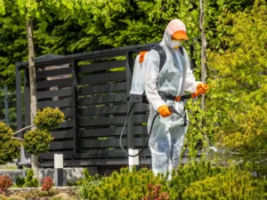 is a landlord responsible for pest control