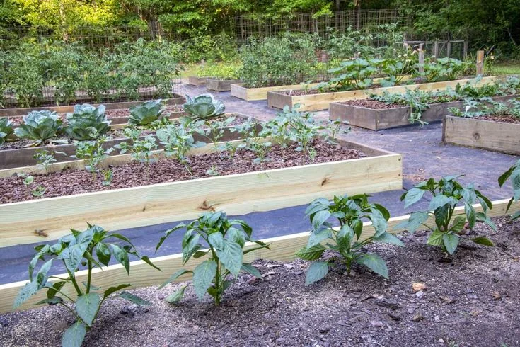 DIY Plant Pots from Recycled Materials