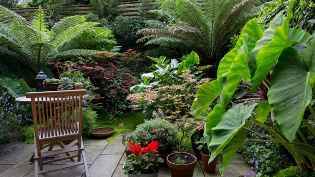 Learn elephant ear plant care tips to grow bold, large leaves. Discover watering, light, and colocasia care for stunning tropical foliage plants indoors.