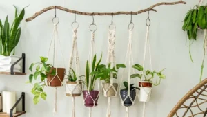 diy plant ideas