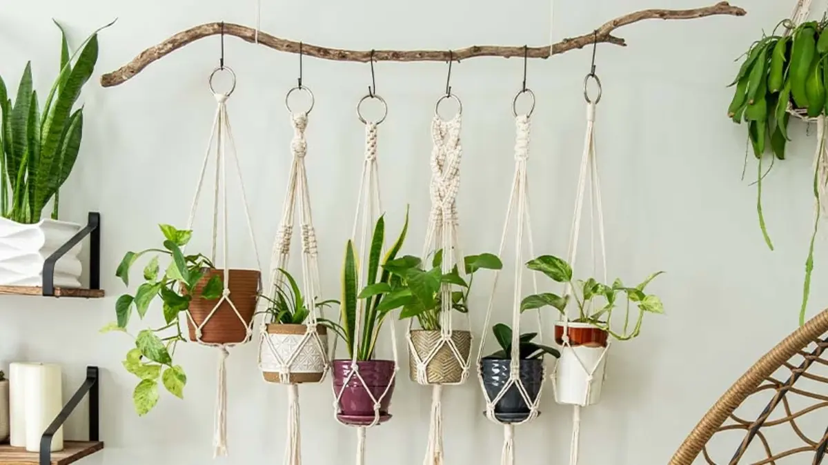 diy plant ideas