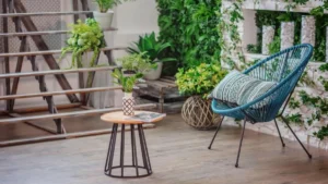 indoor plant styling