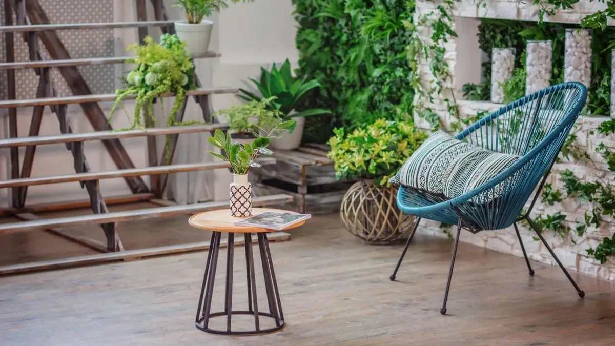 indoor plant styling