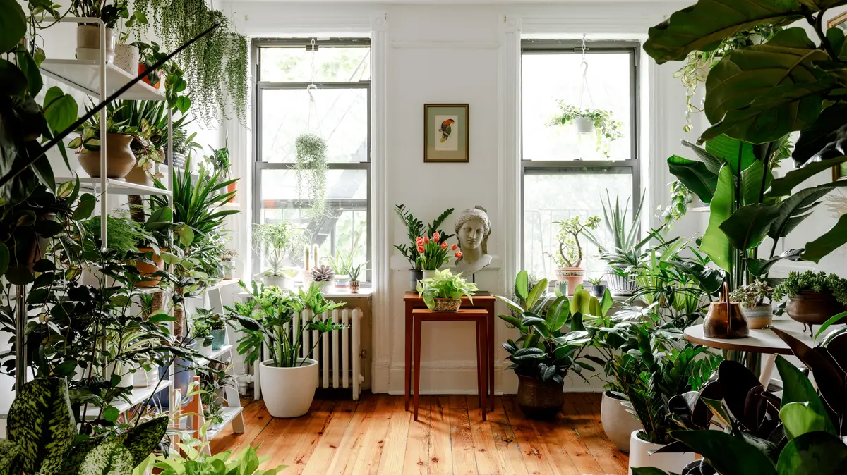 Houseplant Interior Design: Creating a Green Home with Style