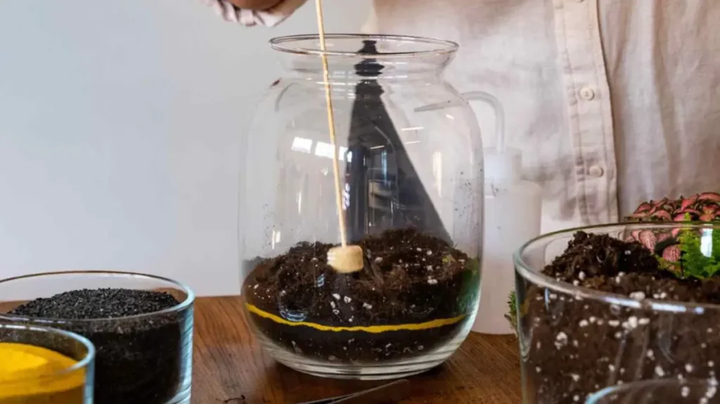 The Ultimate Guide to Crafting a DIY Terrarium: A Step-by-Step Journey