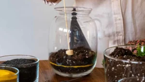 The Ultimate Guide to Crafting a DIY Terrarium: A Step-by-Step Journey