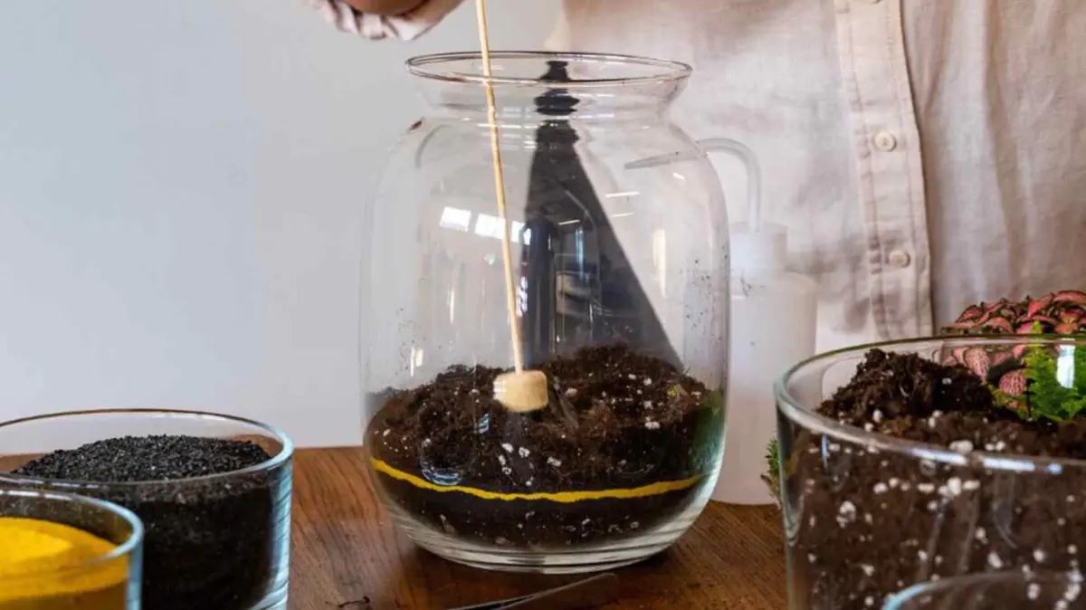 The Ultimate Guide to Crafting a DIY Terrarium: A Step-by-Step Journey