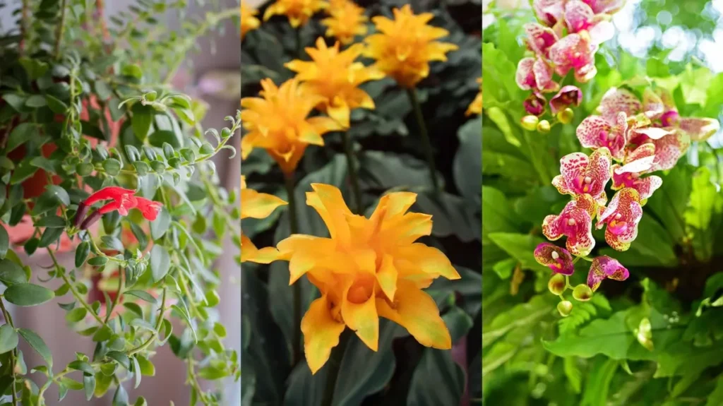 The Ultimate Guide to the Best Flowering Indoor Plants for Every Season