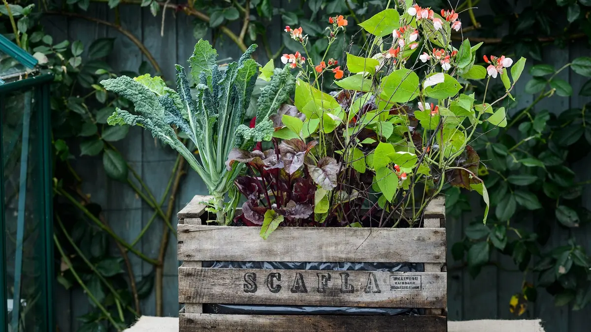 recycled garden ideas