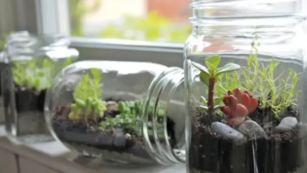 upcycled planters