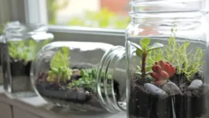 upcycled planters