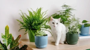 pet safe plants