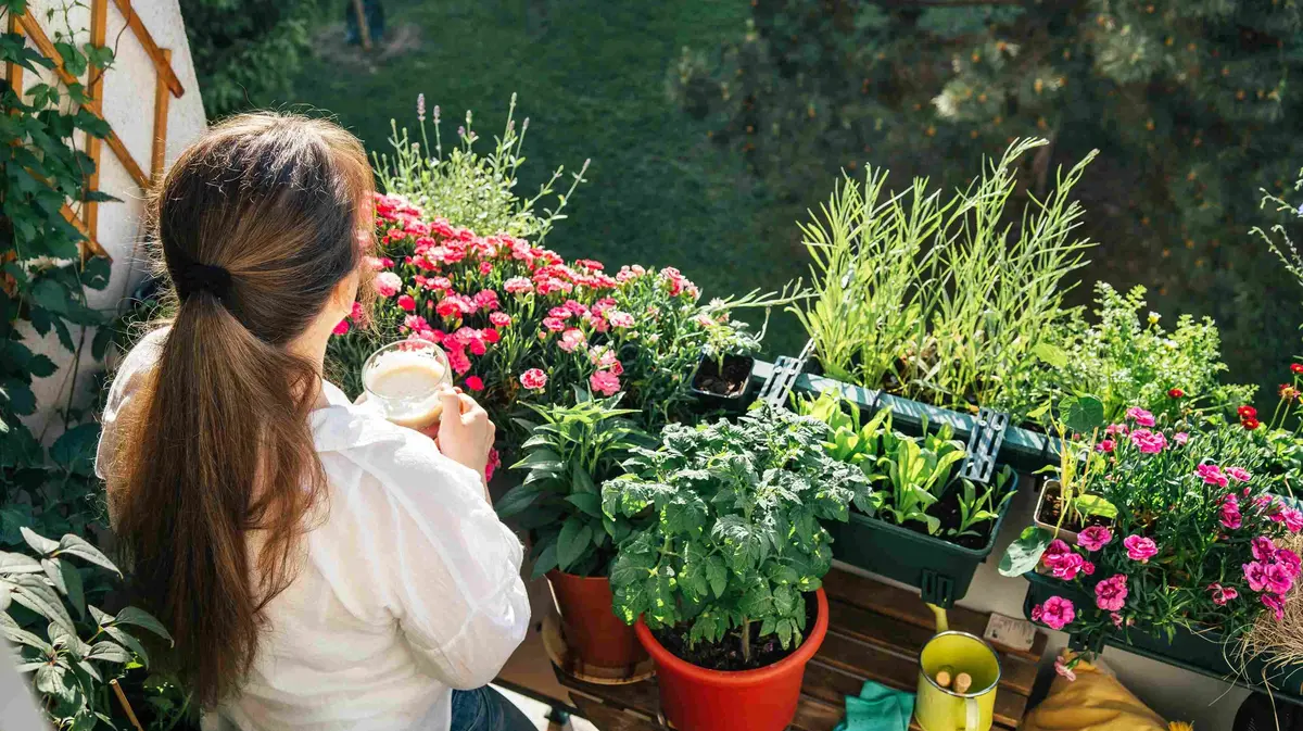 Peeacelily | The Power of Greenery: How Plants for Mental Health Transform Your Well-Being plants for mental health