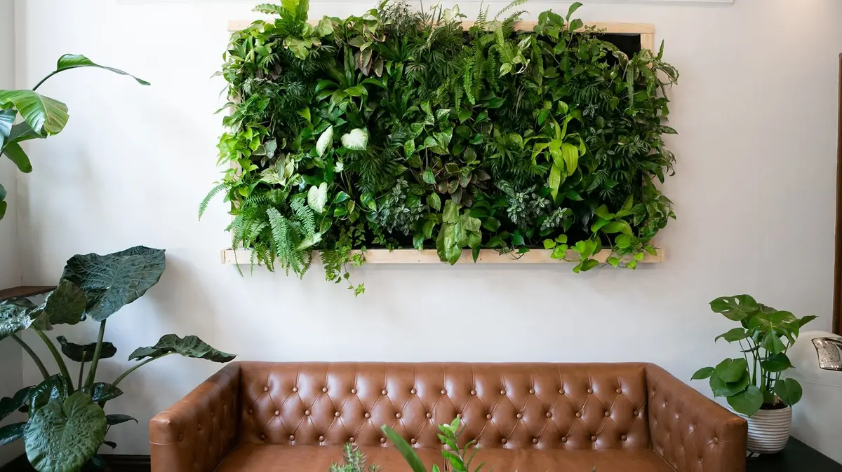 plant wall ideas