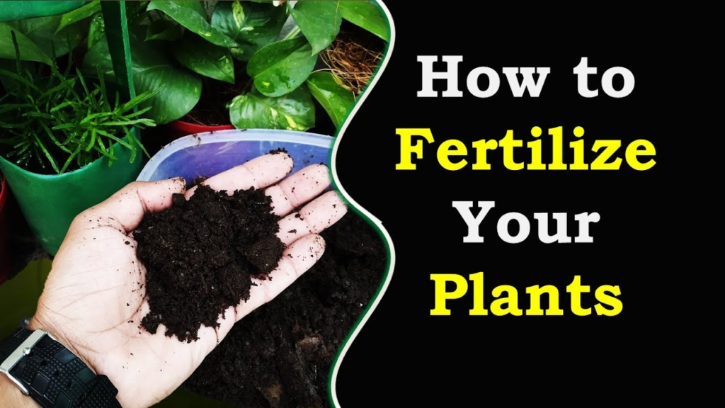 Learn how to fertilize your plants with this guide on using nutrient-rich organic soil