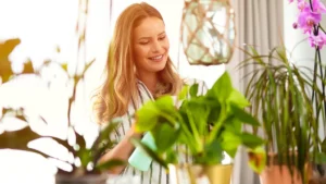 Peeacelily | Green Space Wellness: How Indoor Plants Build a Calmer Home Green Space Wellness: How Indoor Plants Build a Calmer Home