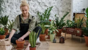 Peeacelily | Plant Therapy Benefits: What the Science Really Says Plant Therapy Benefits: What the Science Really Says