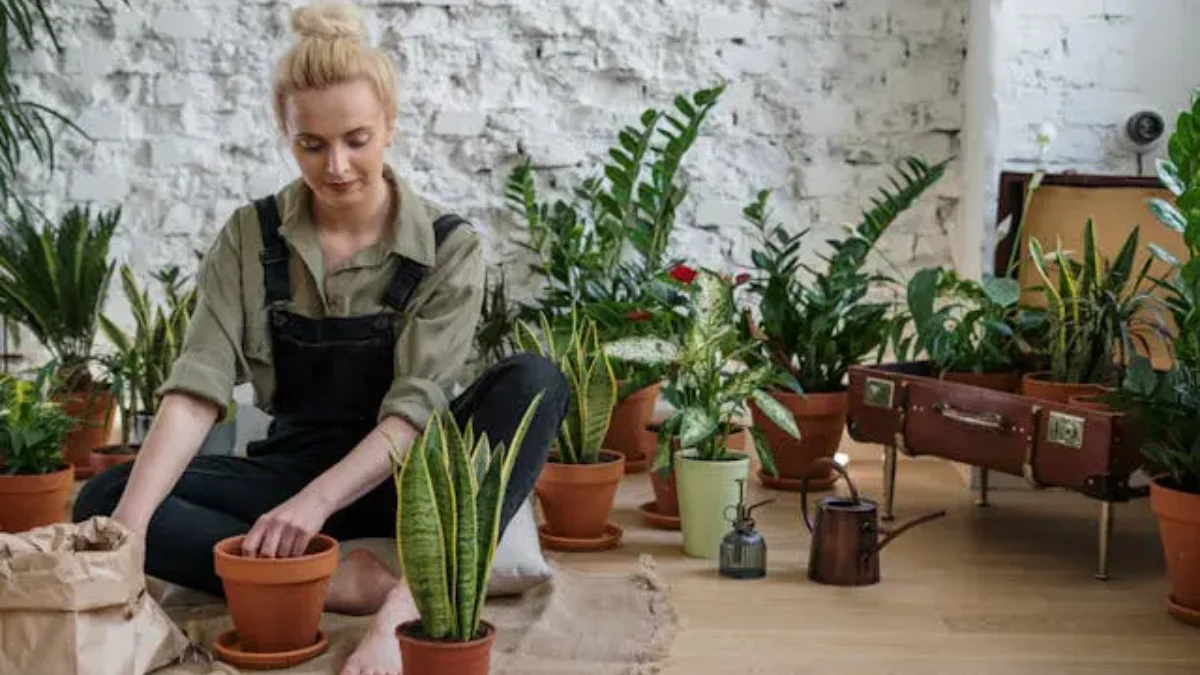 Plant Therapy Benefits: What the Science Really Says