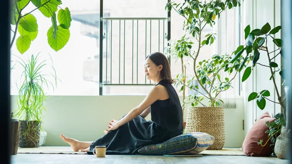 Plants for Stress Relief: 12 Science-Backed Plants