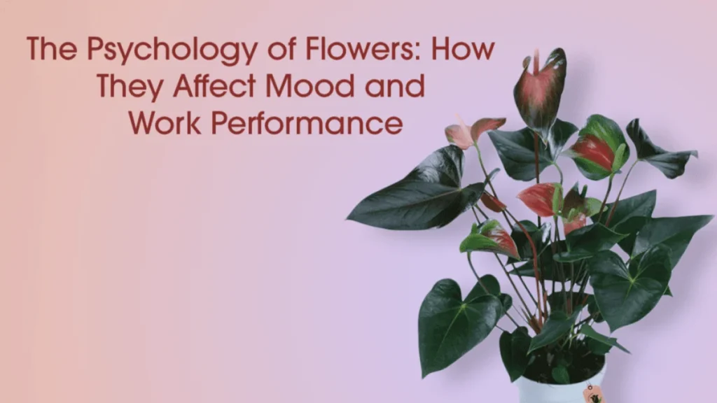 Psychology of Flowers in the Home: Mood and Calm
