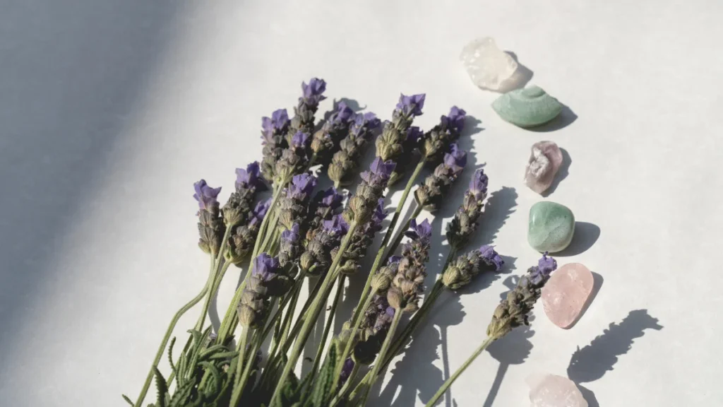 Crystal Plant Combinations: Feng Shui Pairings for Wealth and Energy (2026)