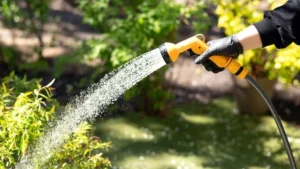 10 Signs You Are Overwatering Your Plants