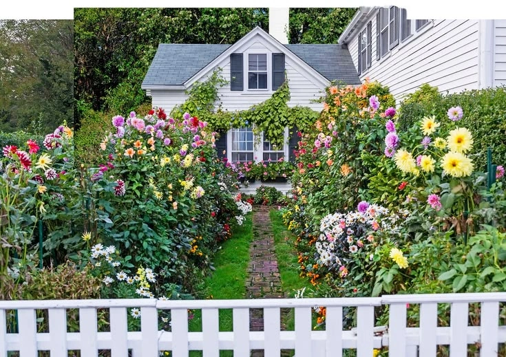 Peeacelily | Seasonal Mood Changes and Your Home Setup Seasonal Mood Changes and Your Home Setup