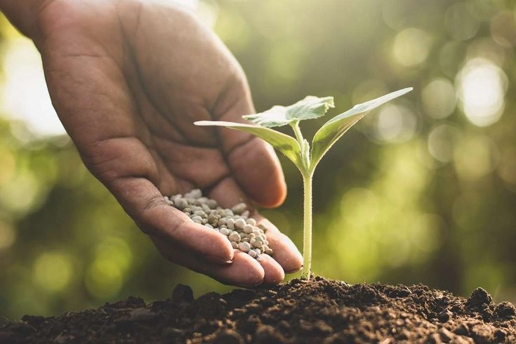 Peeacelily | NPK Fertilizer Explained: What 10-10-10 and 20-20-20 Mean NPK Fertilizer Explained: What 10-10-10 and 20-20-20 Mean