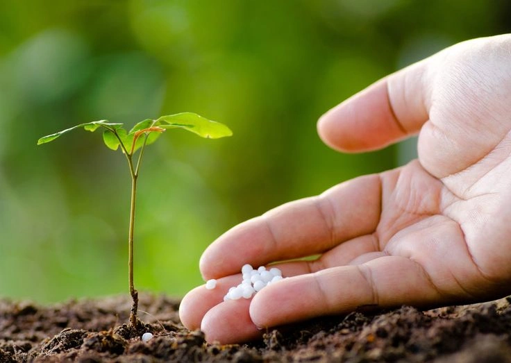 How to Make Plants Grow Faster Naturally