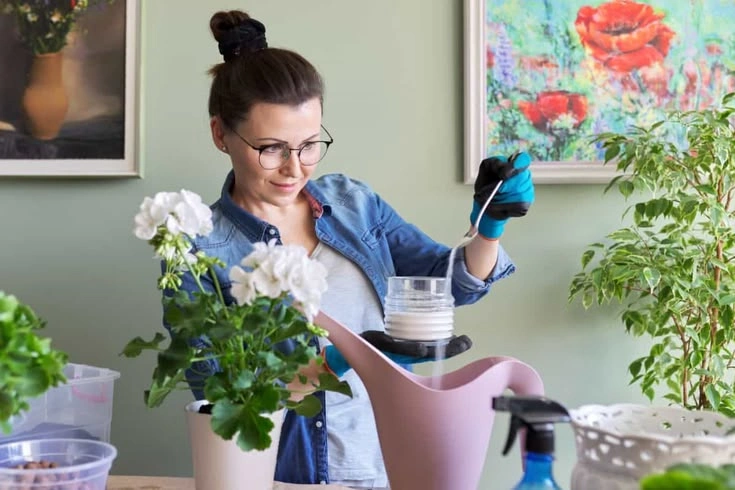 When Is the Best Time to Fertilize Plants?
