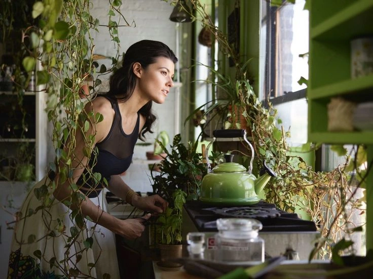 Peeacelily | The Mental Health Benefits of Caring for Plants The Mental Health Benefits of Caring for Plants