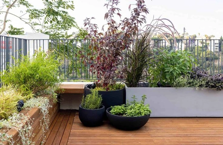 10 Indoor Trees That Turn Empty Corners Into a Statement