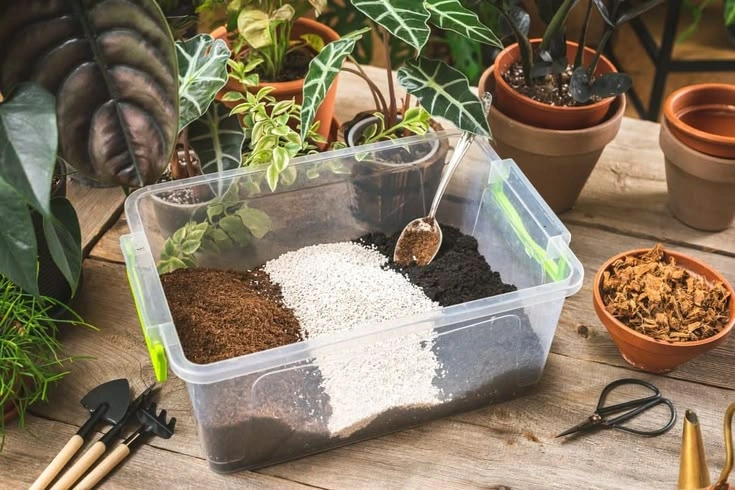 Peeacelily | Best Soil for Houseplants: What to Use for Healthy Roots Best Soil for Houseplants: What to Use for Healthy Roots