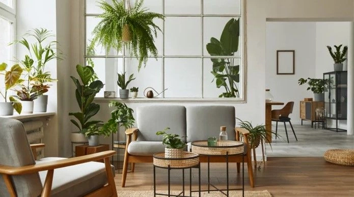 Biophilic Interior Design: How to Bring Nature Into Your Home With Plants