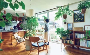 How to Style Indoor Plants Like an Interior Designer